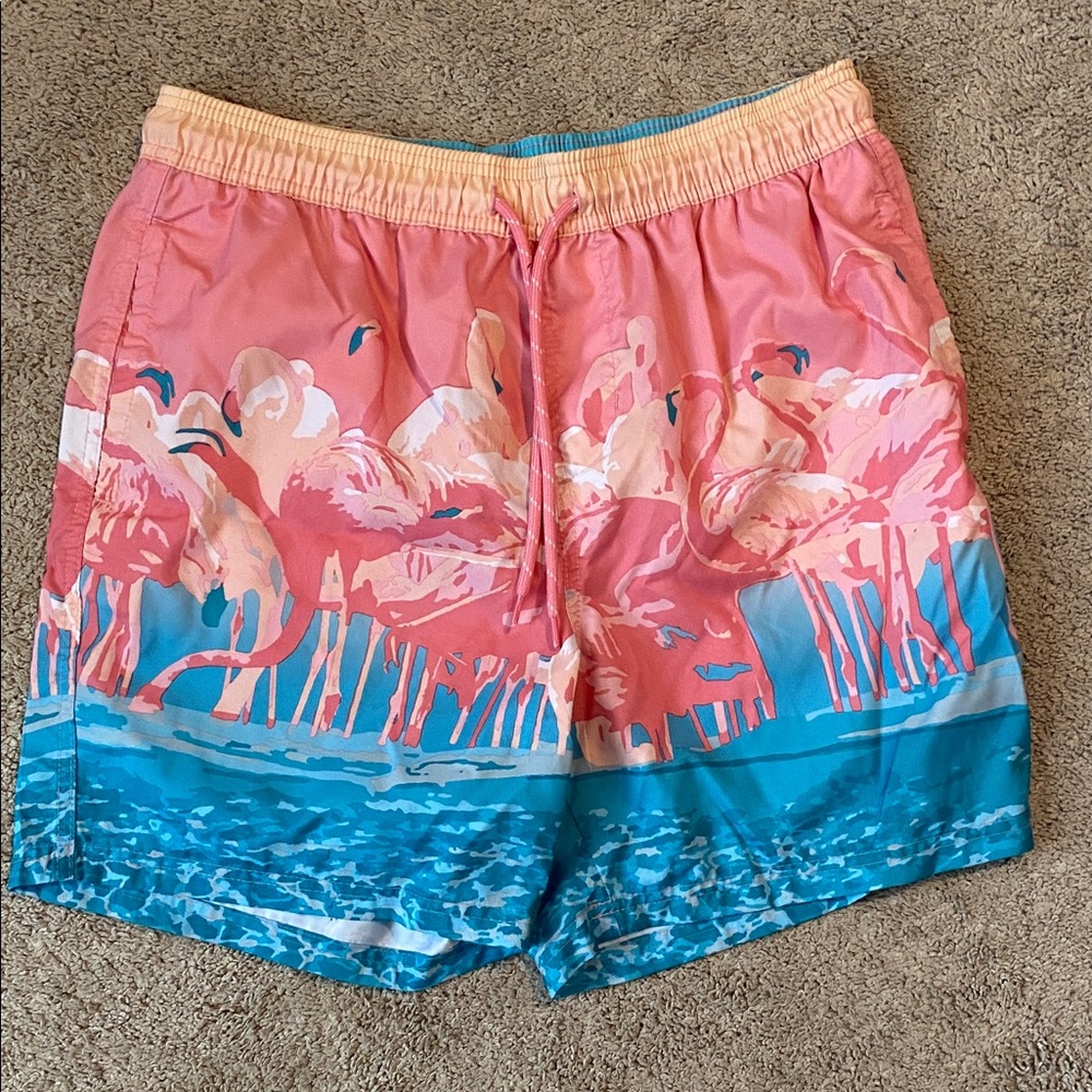 No Boundaries Pink Flamingo and Blue Swim Shorts